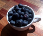 Blueberries1